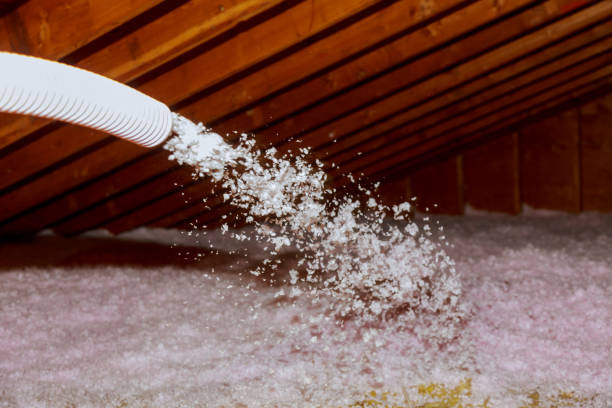 Best Spray Foam Insulation in Reinholds, PA
