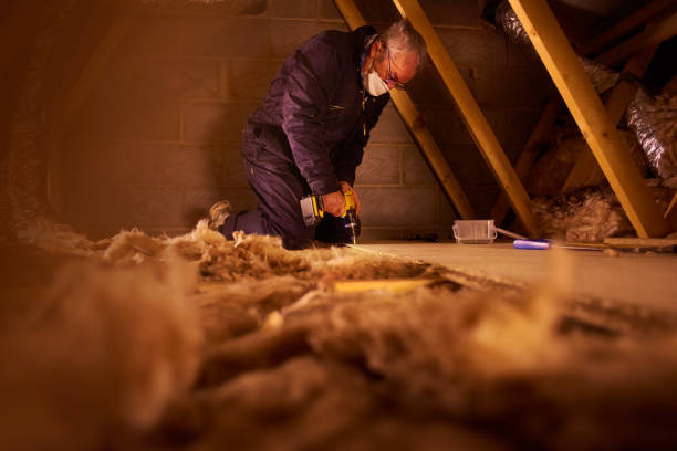 Best Residential Insulation in Reinholds, PA